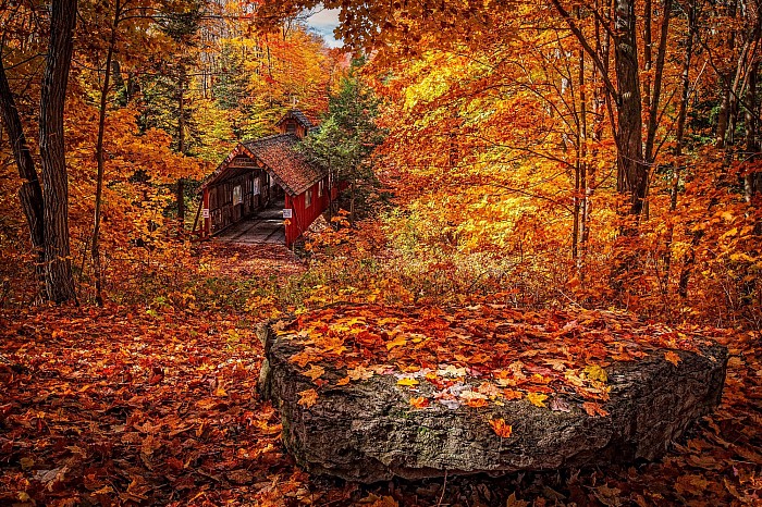 Herbst, autumn, fall, Blätter, laves, nature, lyrik blog, herzjahre, schreiben, Gedichte, herbststimmung